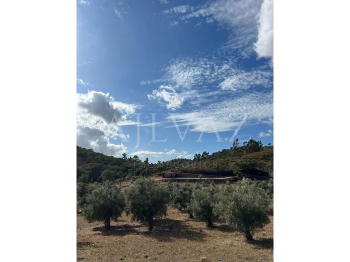 Image No.3-Ferme à vendre à Ourique