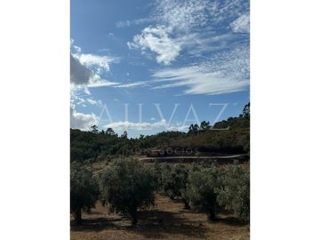 id91039d01-0000-0500-0000-000015b4d565