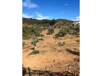 id91039d01-0000-0500-0000-000015b4d567