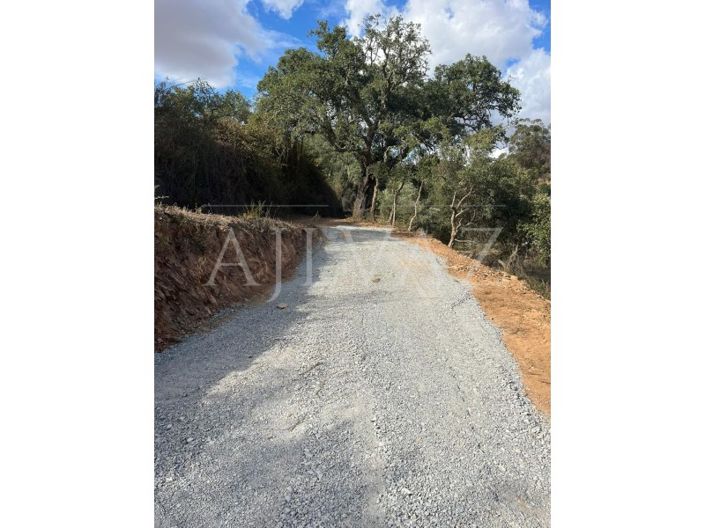 Image No.7-Ferme à vendre à Ourique