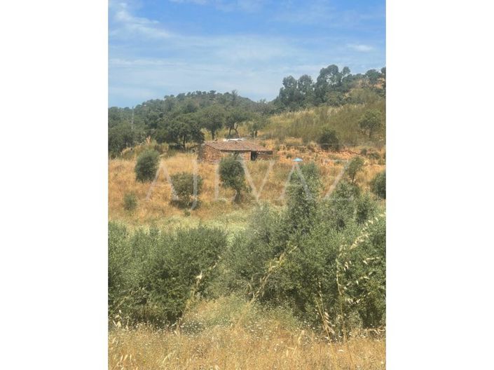 Image No.9-Ferme à vendre à Ourique