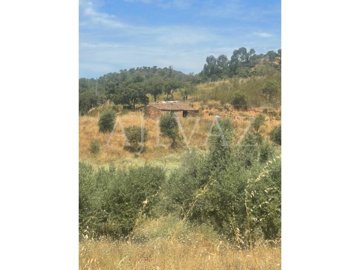 id91039d01-0000-0500-0000-000015f49cc9