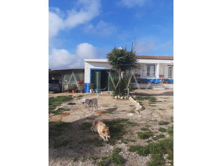 Image No.2-Ferme de 2 chambres à vendre à Lagos