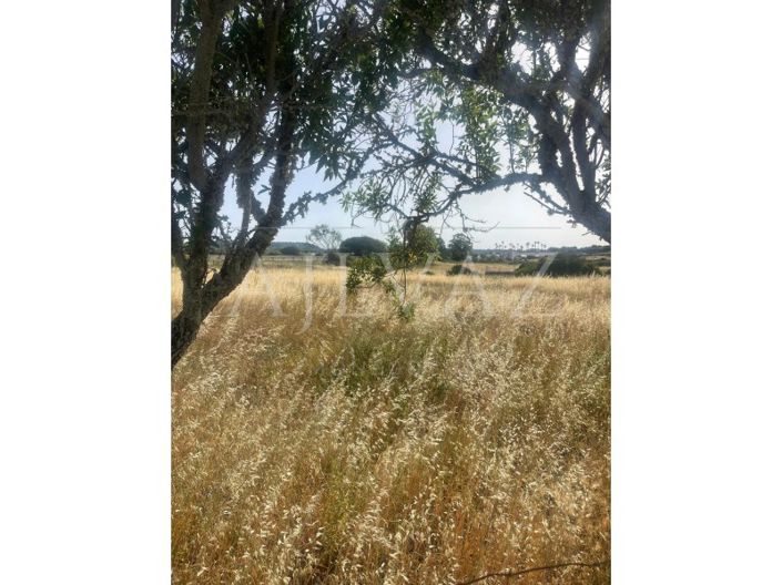 Image No.22-Ferme de 2 chambres à vendre à Lagos