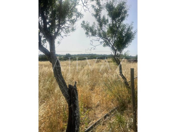 Image No.23-Ferme de 2 chambres à vendre à Lagos