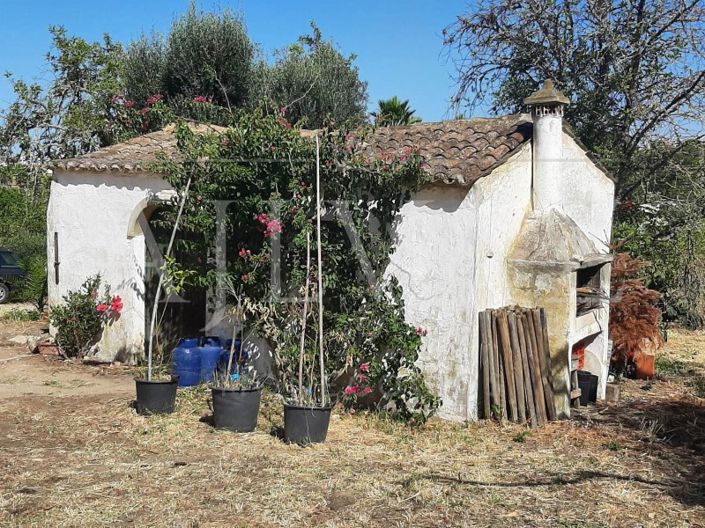Image No.20-Ferme de 5 chambres à vendre à Lagos