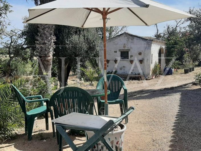 Image No.21-Ferme de 5 chambres à vendre à Lagos