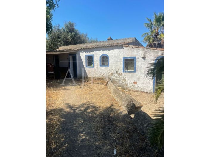 Image No.29-Ferme de 5 chambres à vendre à Lagos