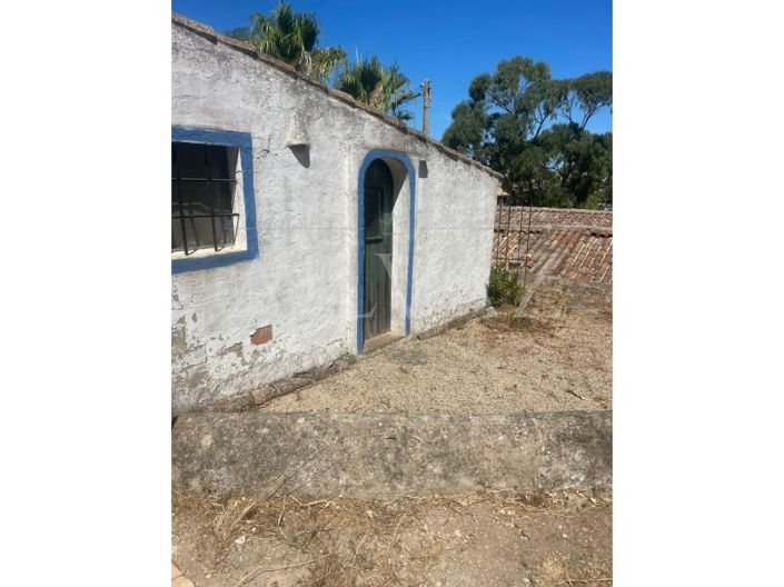 Image No.30-Ferme de 5 chambres à vendre à Lagos