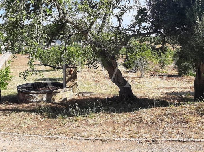 Image No.40-Ferme de 5 chambres à vendre à Lagos