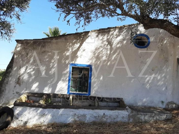 Image No.5-Ferme de 5 chambres à vendre à Lagos