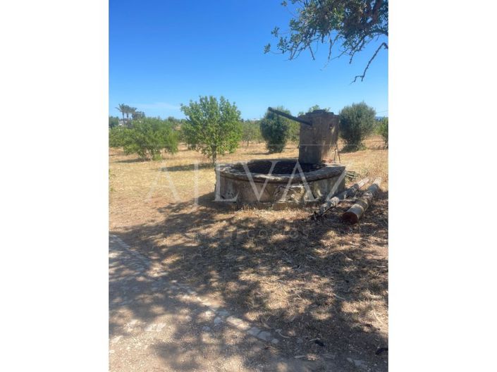Image No.41-Ferme de 5 chambres à vendre à Lagos