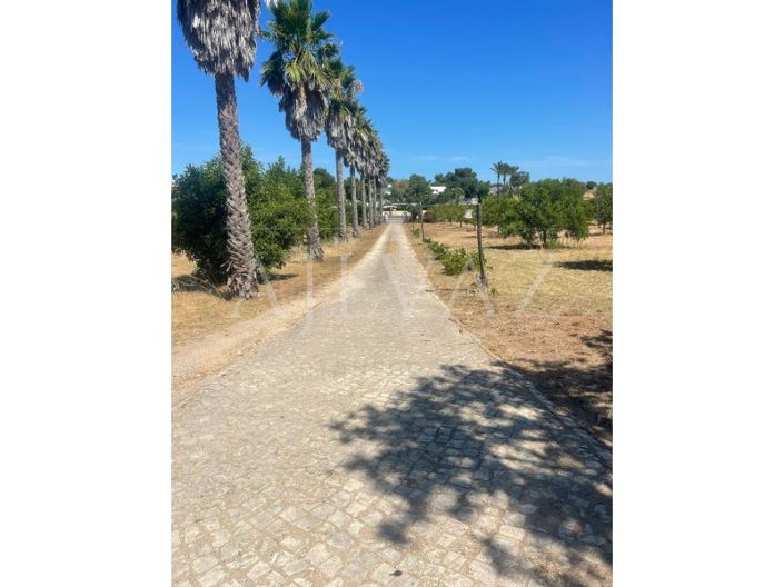 Image No.42-Ferme de 5 chambres à vendre à Lagos