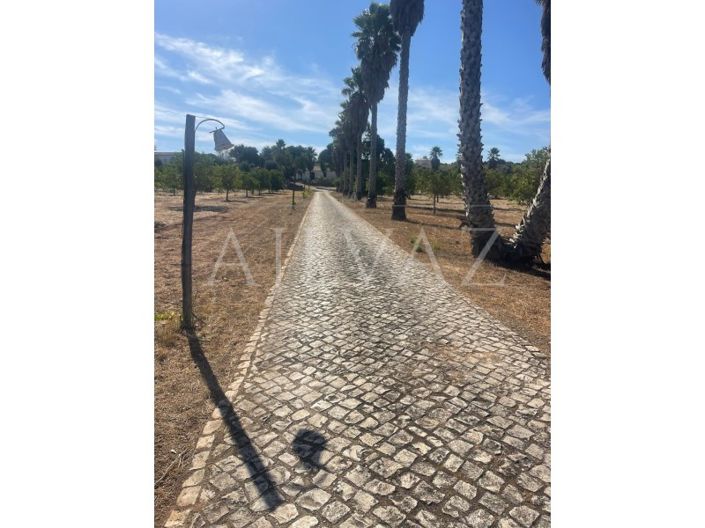 Image No.43-Ferme de 5 chambres à vendre à Lagos