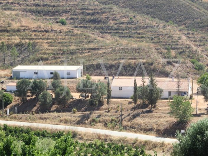 Image No.10-Ferme de 14 chambres à vendre à Silves