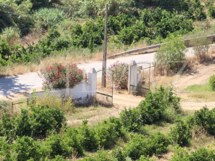 Image No.11-Ferme de 14 chambres à vendre à Silves
