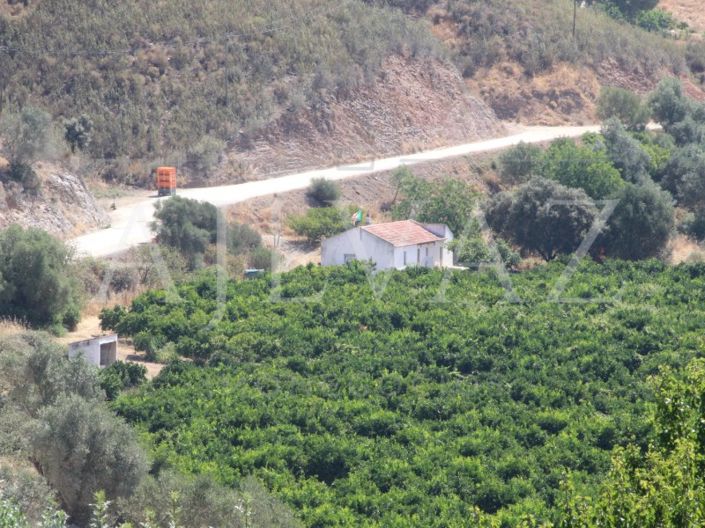 Image No.12-Ferme de 14 chambres à vendre à Silves
