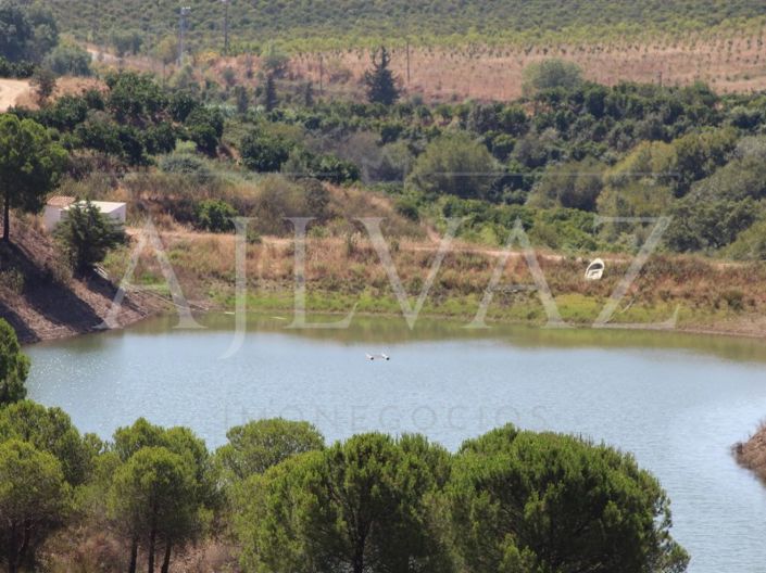 Image No.13-Ferme de 14 chambres à vendre à Silves