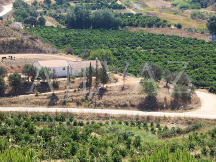 Image No.15-Ferme de 14 chambres à vendre à Silves