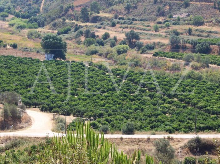 Image No.16-Ferme de 14 chambres à vendre à Silves