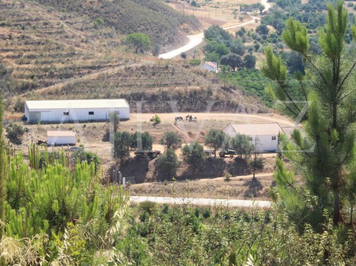 Image No.19-Ferme de 14 chambres à vendre à Silves