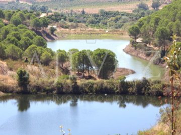 id5180a601-0000-0500-0000-00001687c196