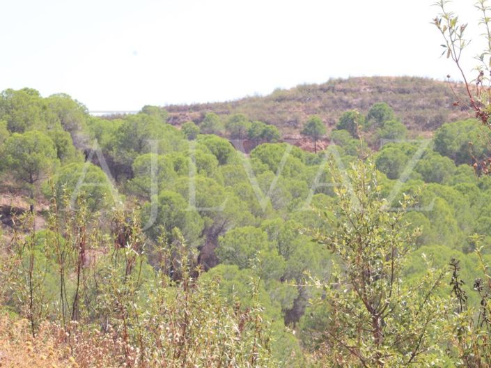 Image No.20-Ferme de 14 chambres à vendre à Silves