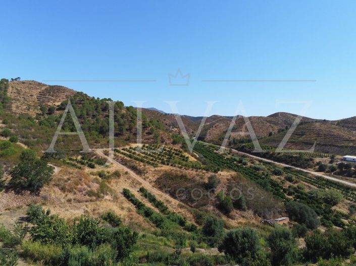 Image No.25-Ferme de 14 chambres à vendre à Silves