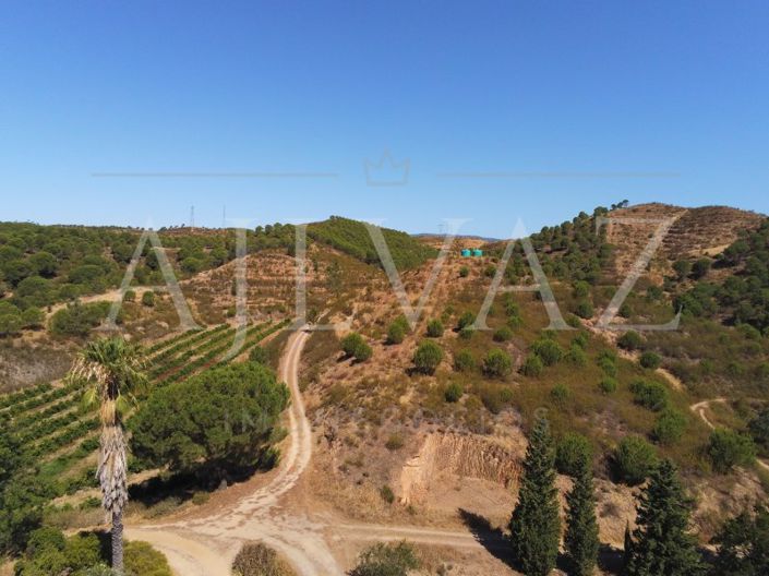 Image No.26-Ferme de 14 chambres à vendre à Silves