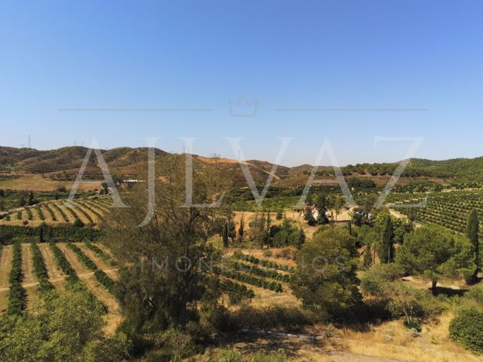 Image No.29-Ferme de 14 chambres à vendre à Silves