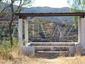 id5180a601-0000-0500-0000-00001687c197