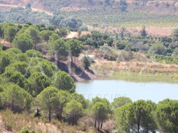 id5180a601-0000-0500-0000-00001687c198