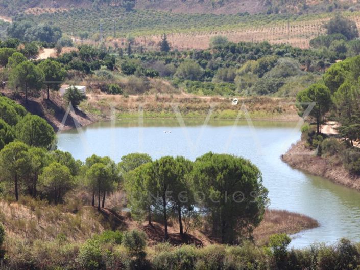 Image No.5-Ferme de 14 chambres à vendre à Silves