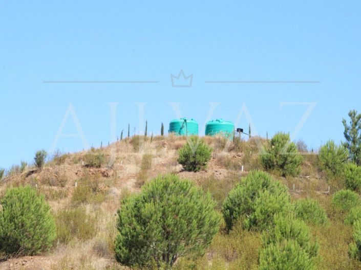 Image No.6-Ferme de 14 chambres à vendre à Silves