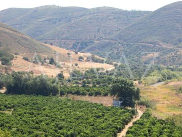 id5180a601-0000-0500-0000-00001687c19b