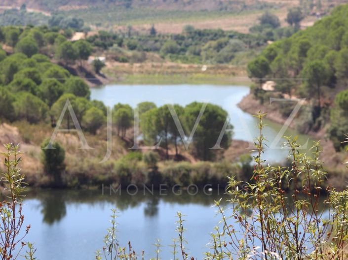 Image No.8-Ferme de 14 chambres à vendre à Silves