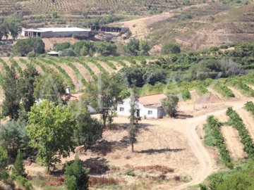 id5180a601-0000-0500-0000-00001687c19d