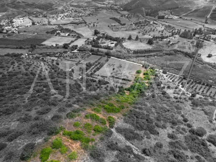 Image No.10-Terrain à vendre à Silves