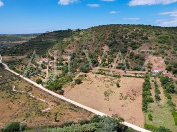 id2c499f01-0000-0500-0000-000015e1c8e6