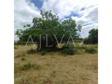 id2c499f01-0000-0500-0000-000015e1c8e7