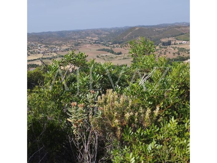 Image No.22-Terrain à vendre à Silves