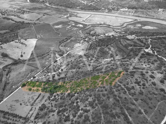 Image No.3-Terrain à vendre à Silves