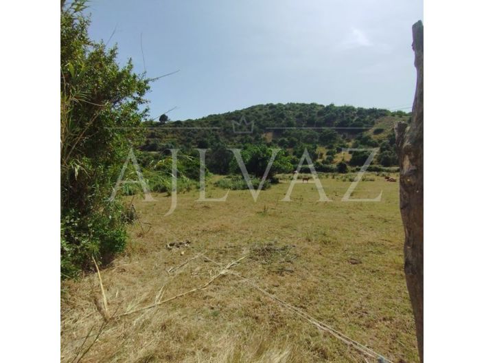 Image No.30-Terrain à vendre à Silves