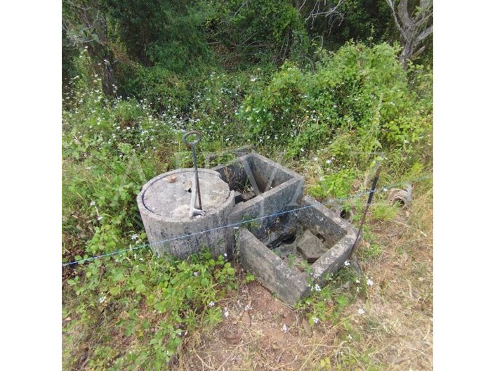 Image No.33-Terrain à vendre à Silves