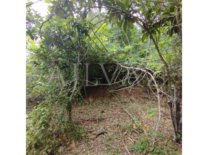 Image No.35-Terrain à vendre à Silves