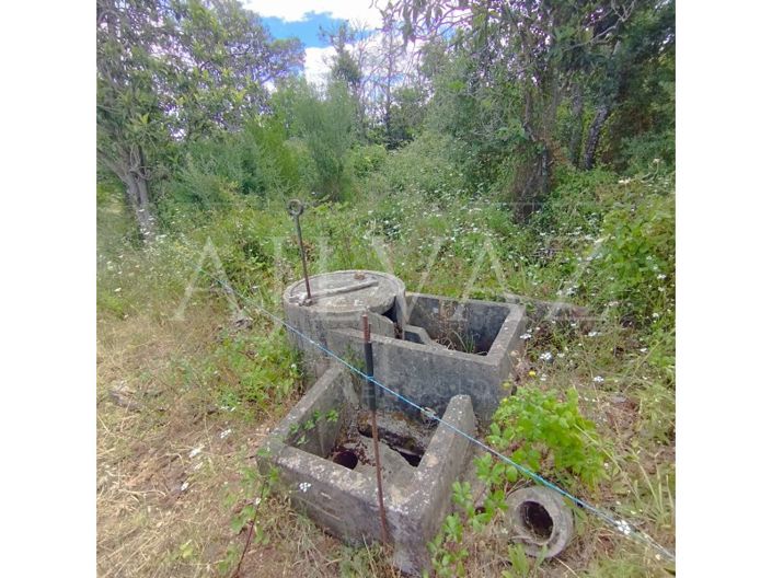 Image No.36-Terrain à vendre à Silves