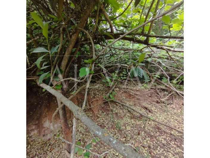 Image No.37-Terrain à vendre à Silves