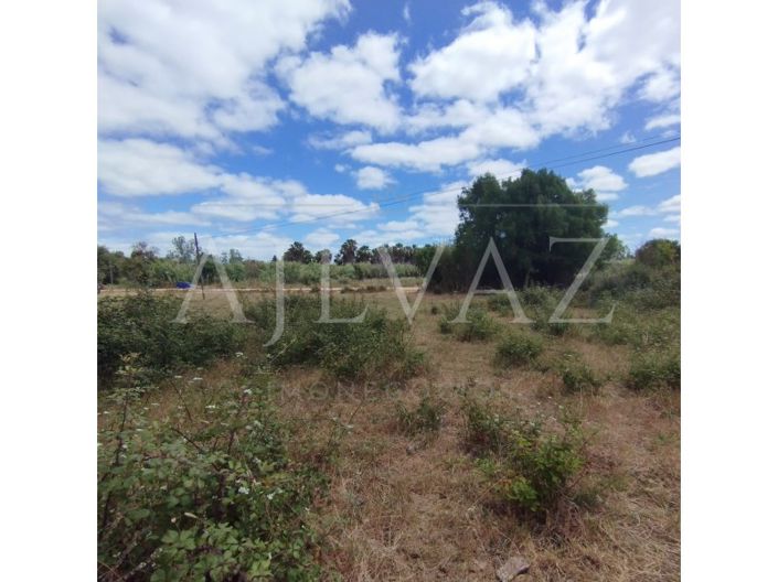 Image No.39-Terrain à vendre à Silves