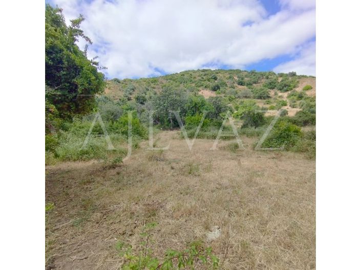 Image No.42-Terrain à vendre à Silves