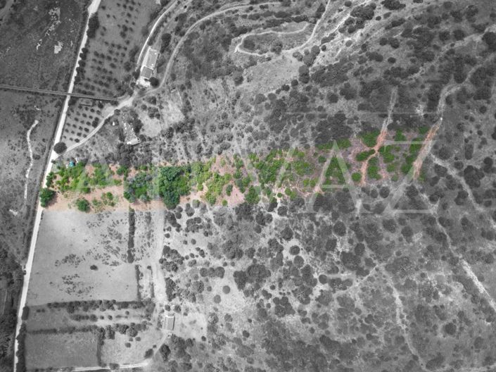 Image No.6-Terrain à vendre à Silves